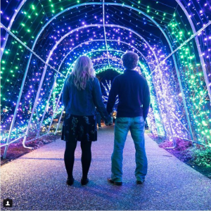 instagram contest winner