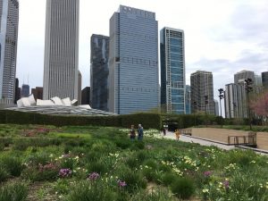 Lurie Gardens in Spring