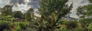 Perennial gardens