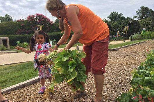 child picking giant turnip plus see Online Learning for Kids