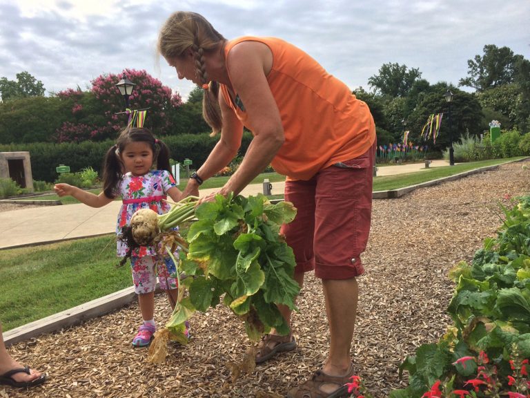 Best Plants for Kids Lewis Ginter Botanical Garden
