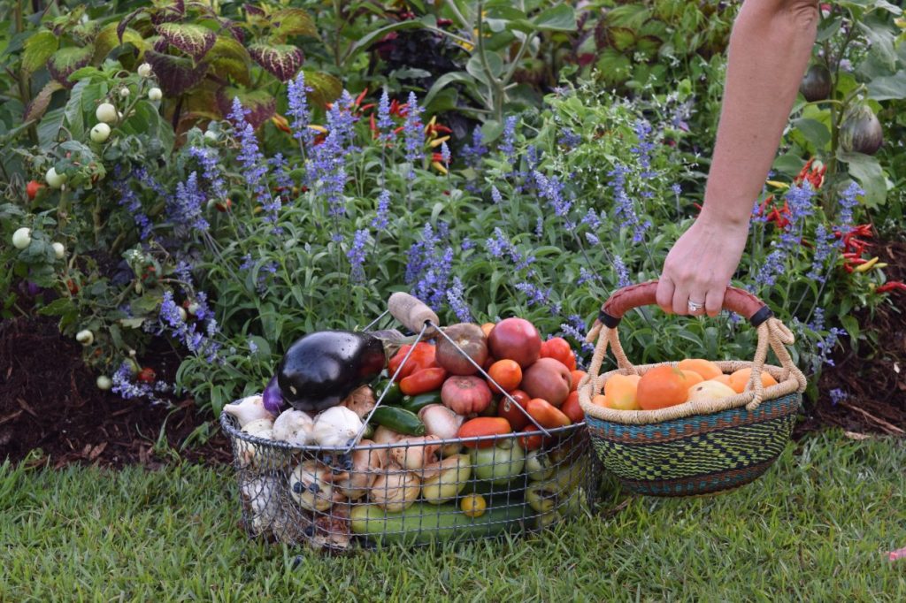 A basket of vegetables grows beside flowers.