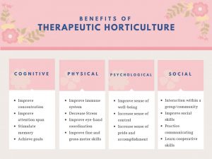 Benefits of Therapeutic Horticulture infographic
