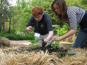 Young man gardening with the help of a teacher