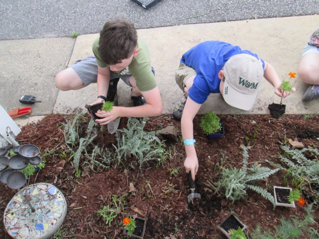 Kids Gardening and the 5 best plants for kids