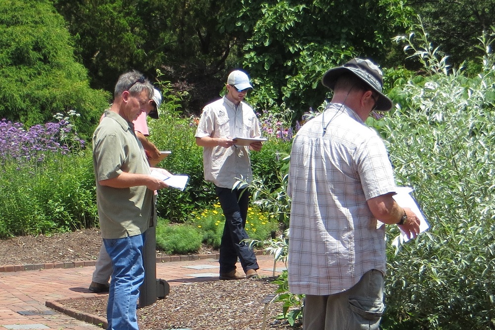 Botany Crop for classes grid 2 Lewis Ginter Botanical Garden
