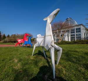 Painted Ponies Harlow Chandler