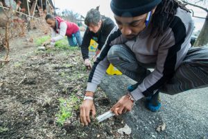 Ginter Urban Gardeners