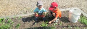 Kids gardening