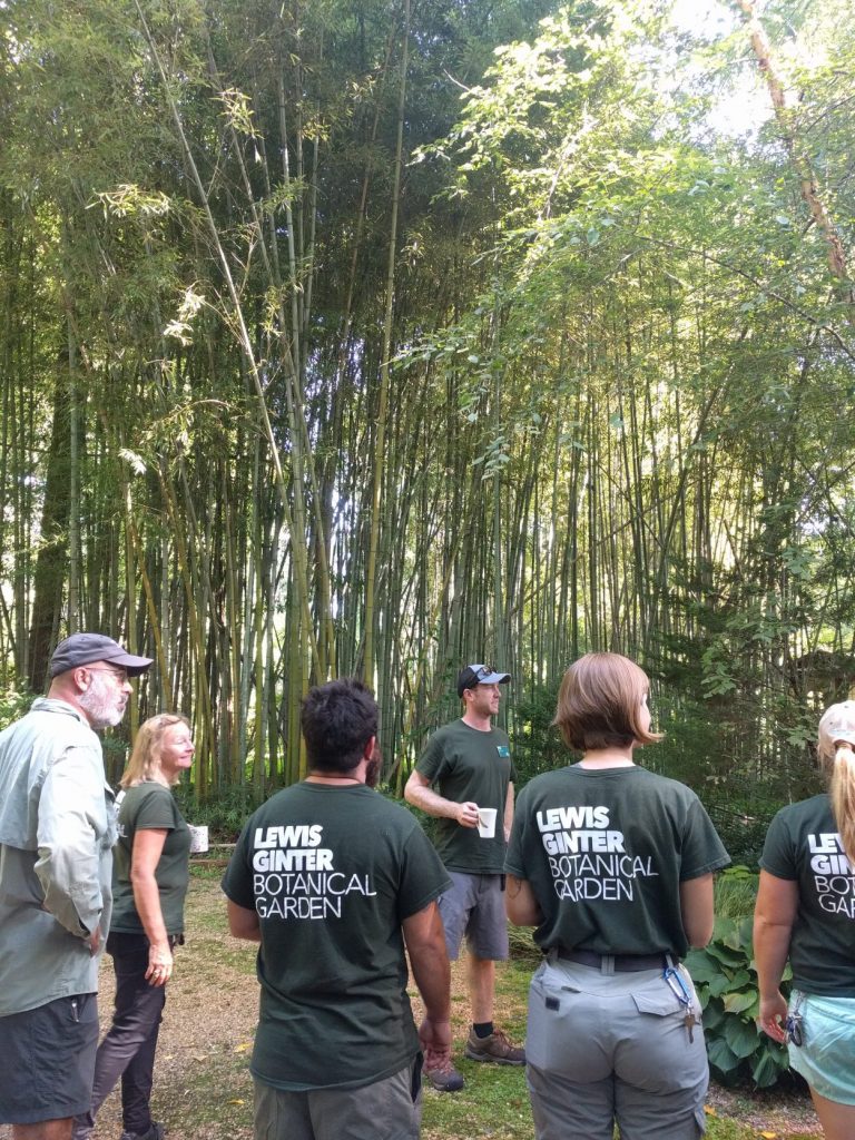 Lewis Ginter Botanical Garden staff looking at the bamboo