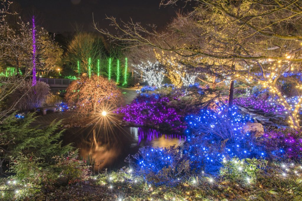 Natural area featuring holiday lights at Dominion Energy GardenFest of Lights, the perfect backdrop to your office christmas party Image by Don Williamson.