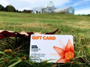 Gifts like a Lewis Ginter Botanical Garden gift card are flexible and fun!