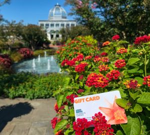 Gift card for Lewis Ginter Botanical Garden