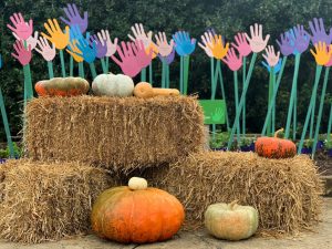 fall flair with pumpkins at Lewis Ginter Botanical Garden