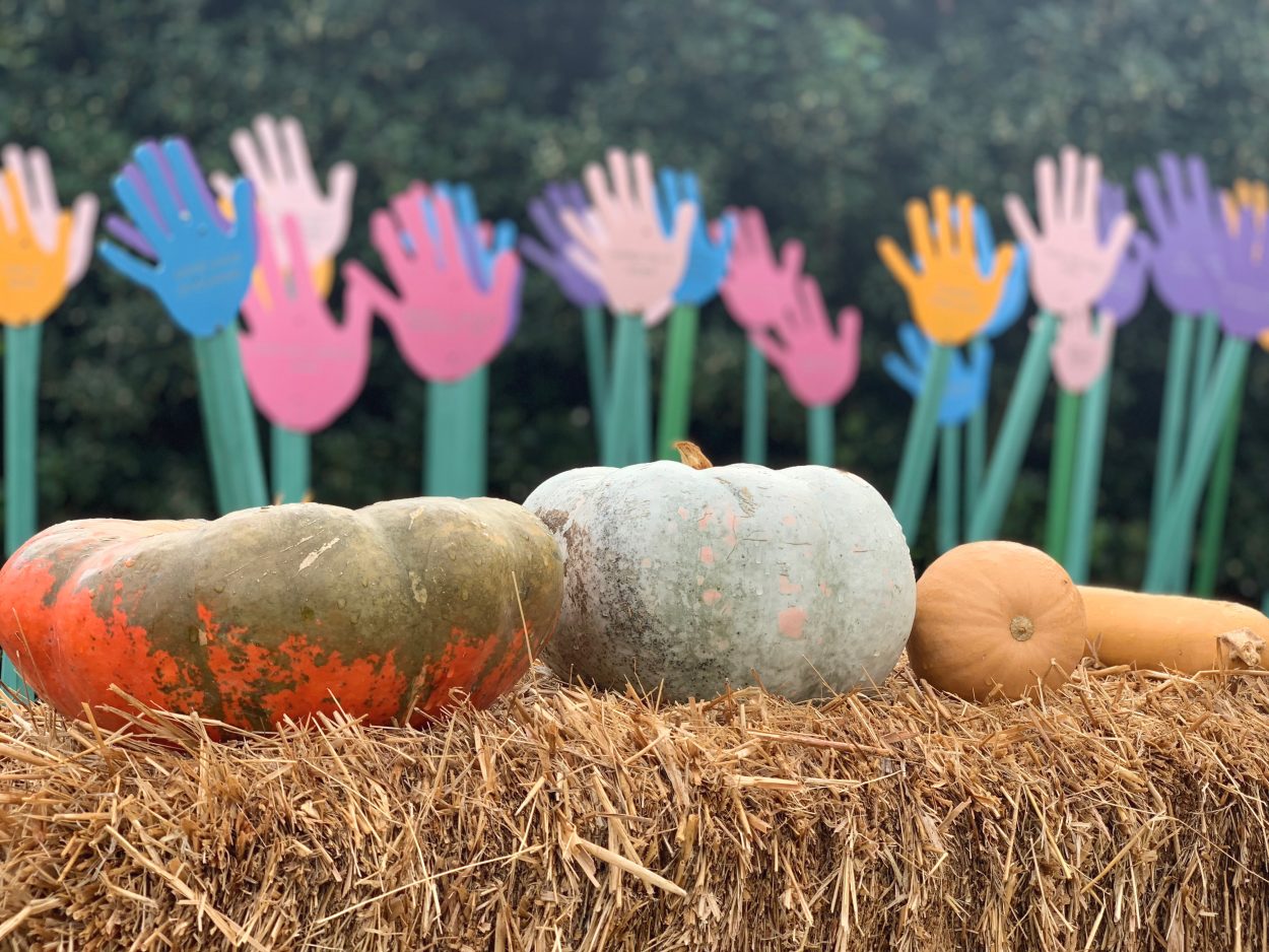 Fall pumpkins sitting on hay in the Children's Garden as part of the Goblins and Gourds harvest festival.