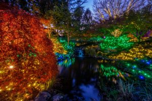 Asian Valley at Dominion Energy GardenFest of Lights by Harlow Chandler