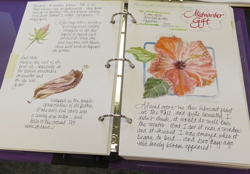 Enjoy a Show of Nature Journals in the Library - Lewis Ginter Botanical  Garden