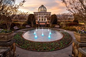Lewis Ginter Botanical Garden's Conservatory illuminated at sunset during Dominion Energy GardenFest of Lights. Image by Tom Hennessy.