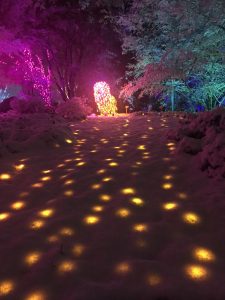 GardenFest of Lights in the snow. Image by Kristen Brown