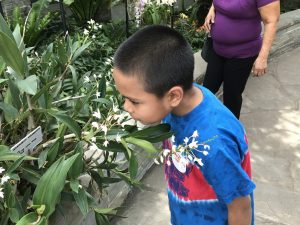 Brayden from World Pediatric Project touring the Garden