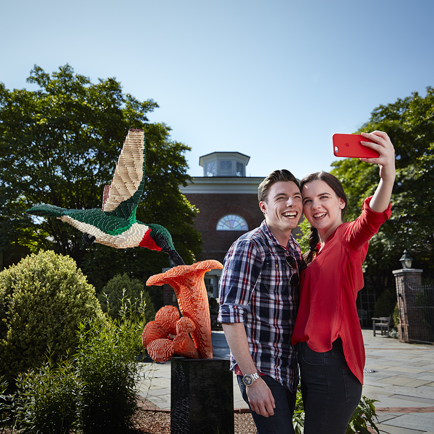 Hummingbird Lego sculpture