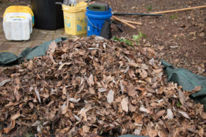 Pile of leaves in the Garden.