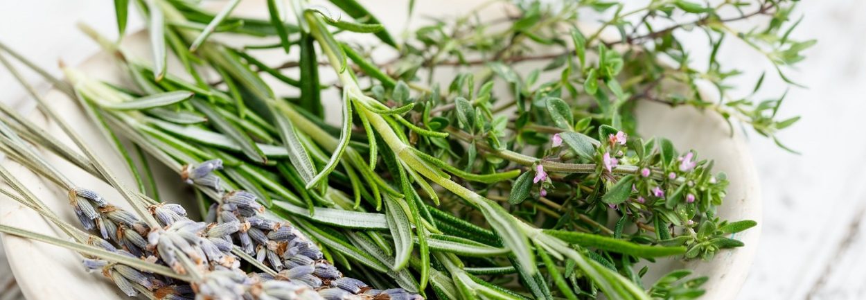 Herb Garden Harvesting