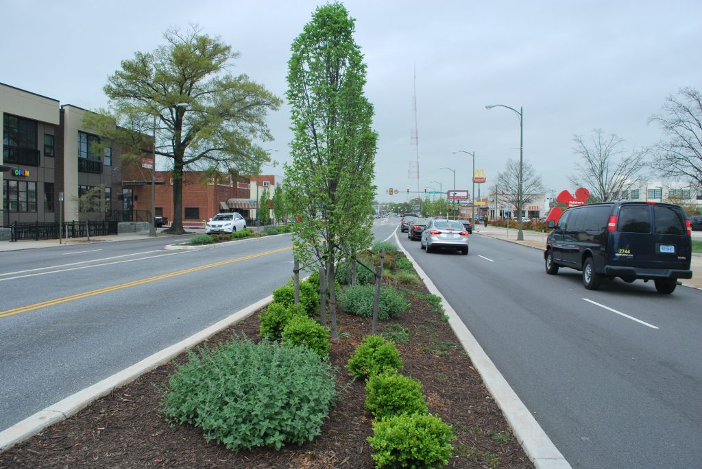 trees and shrubs grow at a bus platform on the GRTC Pulse route. 