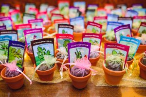 Small flower pots with seeds on a table for green, eco-friendly favors. 