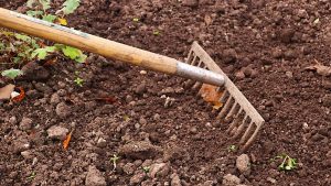 Building Good Garden Soil