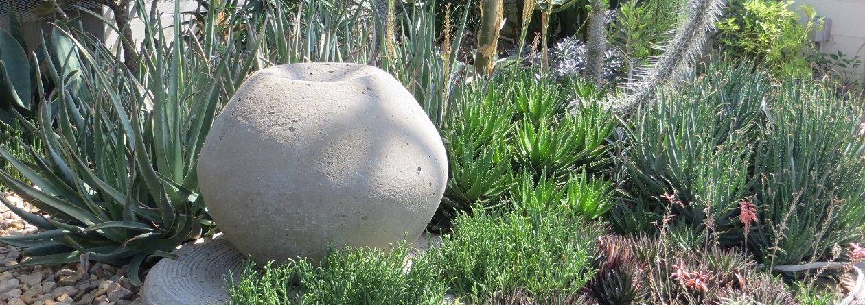 Cacti, Confirers, Grasses, Sedums