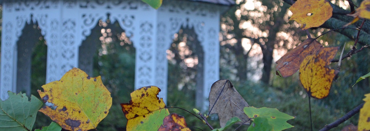 Hidden Garden Gems Tour