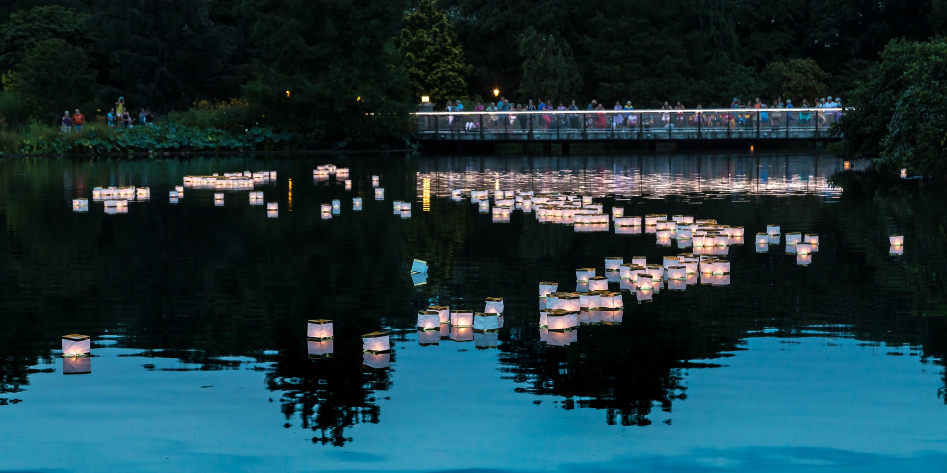 Floating lanterns on the lake at Lewis Ginter Botanical Garden