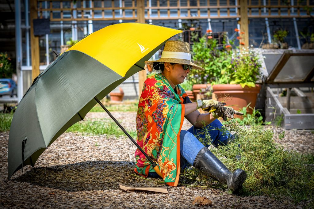 Woman gardening with yellow umbrella.