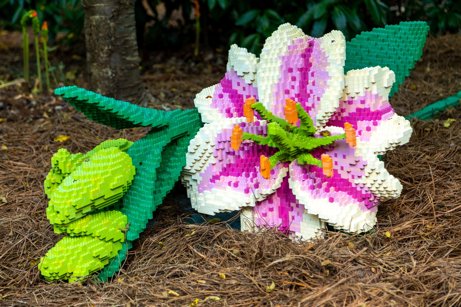 Nature Connects: Art with LEGO Bricks | Family fun activities