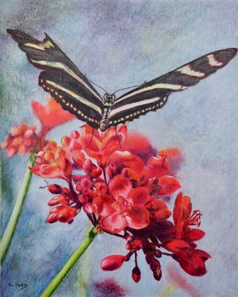 geranium and butterfly photo from the James River Art Leage