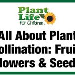 DVD cover: All About Plant Pollination