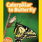 Book cover: Caterpillar to Butterfly