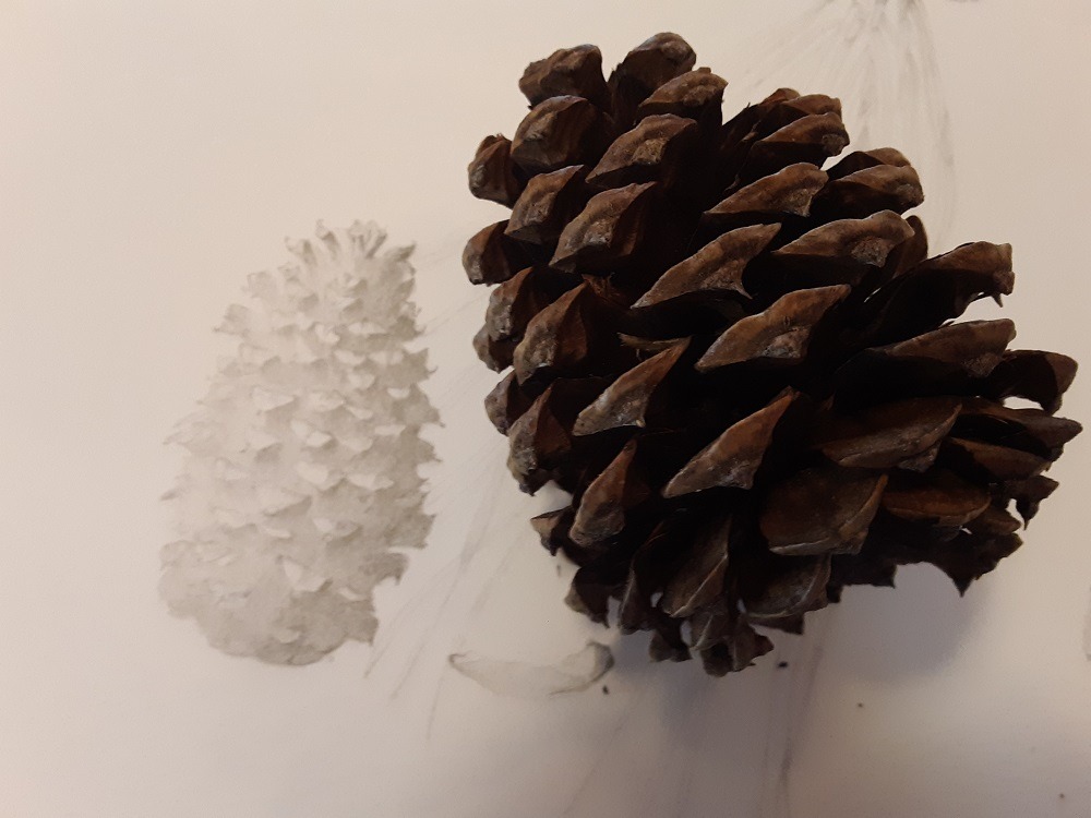 Advanced Watercolor Techniques Complex Forms