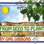 Book cover of From Seed to Plant