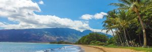 Bites Around the World: Hawaii