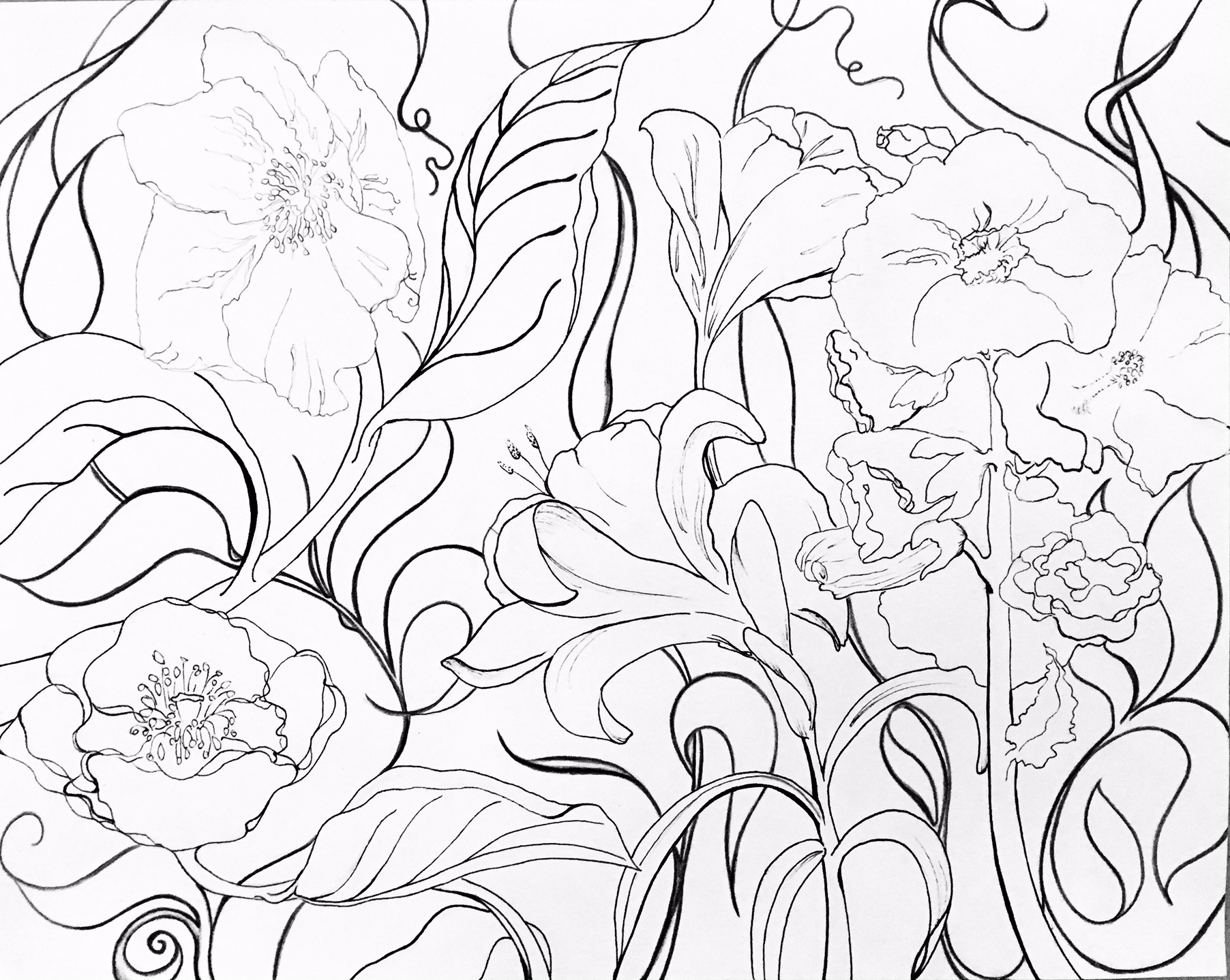 Maker Night Meditative Botanical Drawing Lewis Ginter Botanical Garden