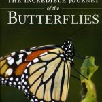 DVD cover: Incredible Journey of the Butterflies