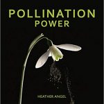 Book cover: Pollination Power