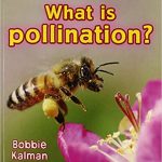 Book cover: What is Pollination?