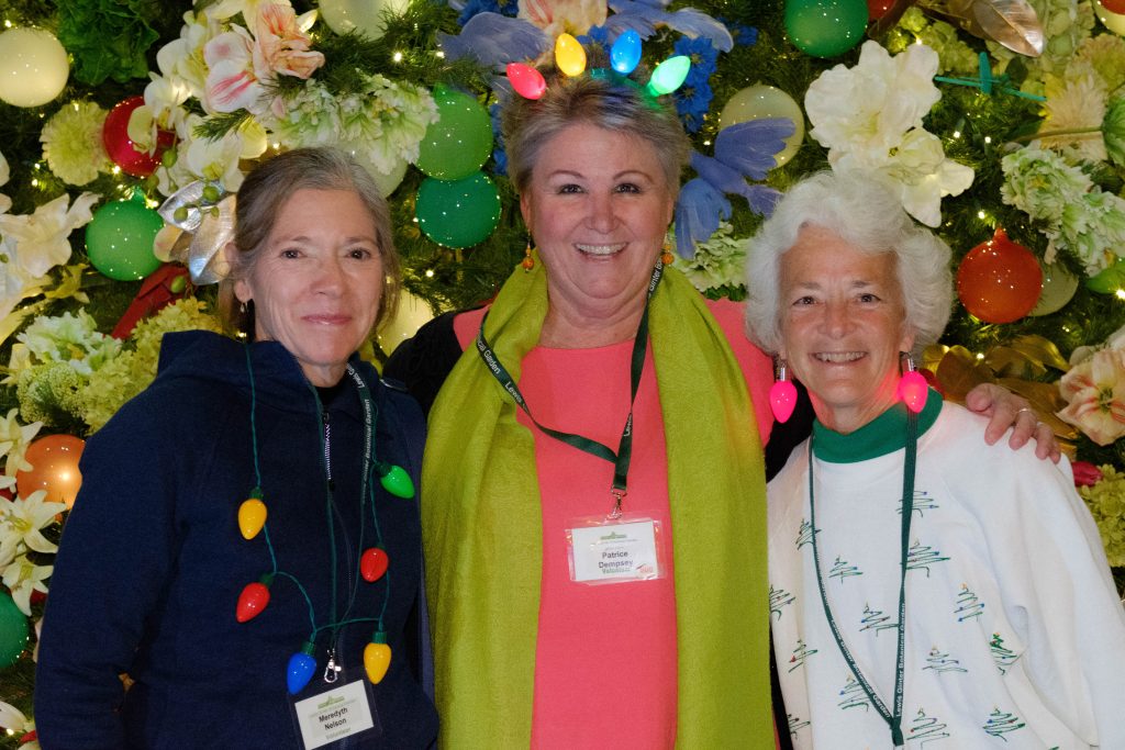 Three volunteers. Image by Harlow Chandler