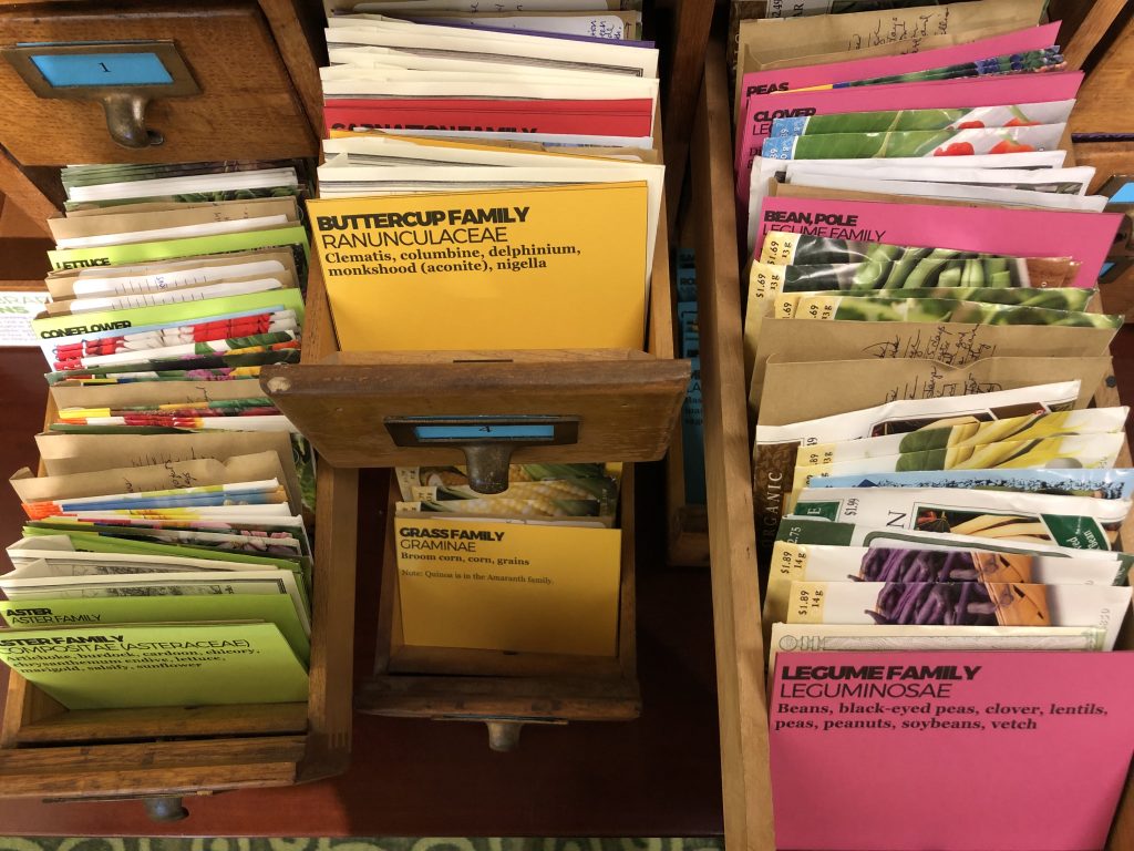 Seed cabinet drawers are open to reveal dozens of seed packets so you can take these home and plant seeds