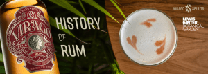 Focus on Rum
