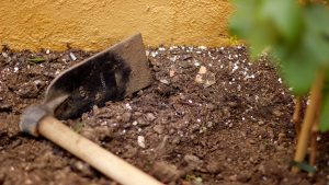 Soils, Part 3: pH and Fertilization