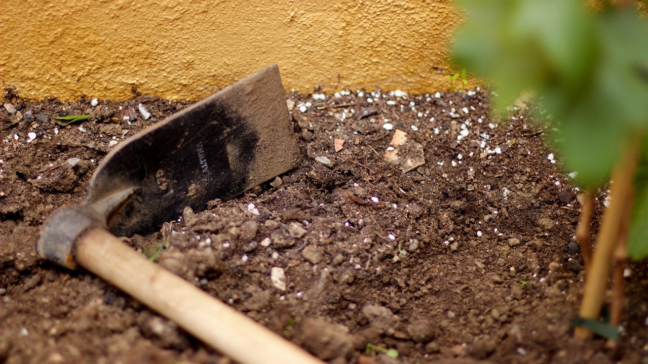 Soils, Part 3: pH and Fertilization